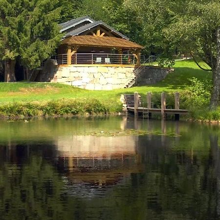 Willa L'Ilet Aux 2 Etangs Saint-Nabord Zewnętrze zdjęcie